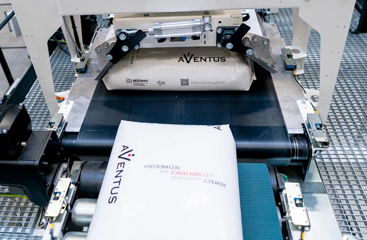 FFS bags on the conveyor belt to the turning clap before palletizing