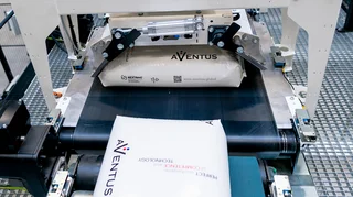 FFS bags on the conveyor belt to the turning clap before palletizing