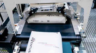 FFS bags on the conveyor belt to the turning clap before palletizing