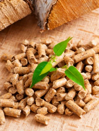 Wood pellets